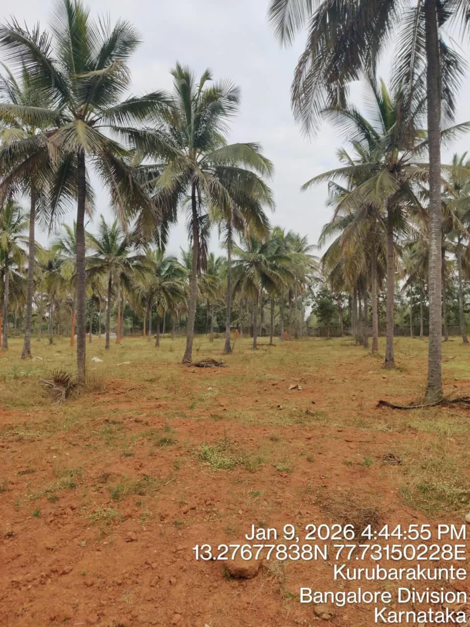 Summers At Orchid Nirvana: Site photo filed with Karnataka RERA