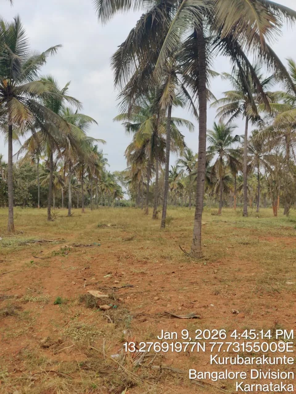 Summers At Orchid Nirvana: Site photo filed with Karnataka RERA