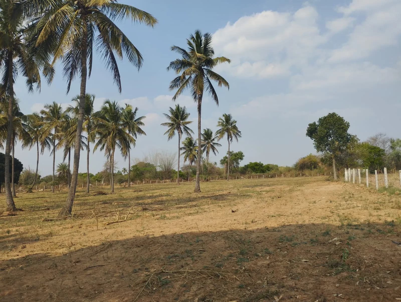 Aratt-Escapes Phase 2: Site photo filed with Karnataka RERA