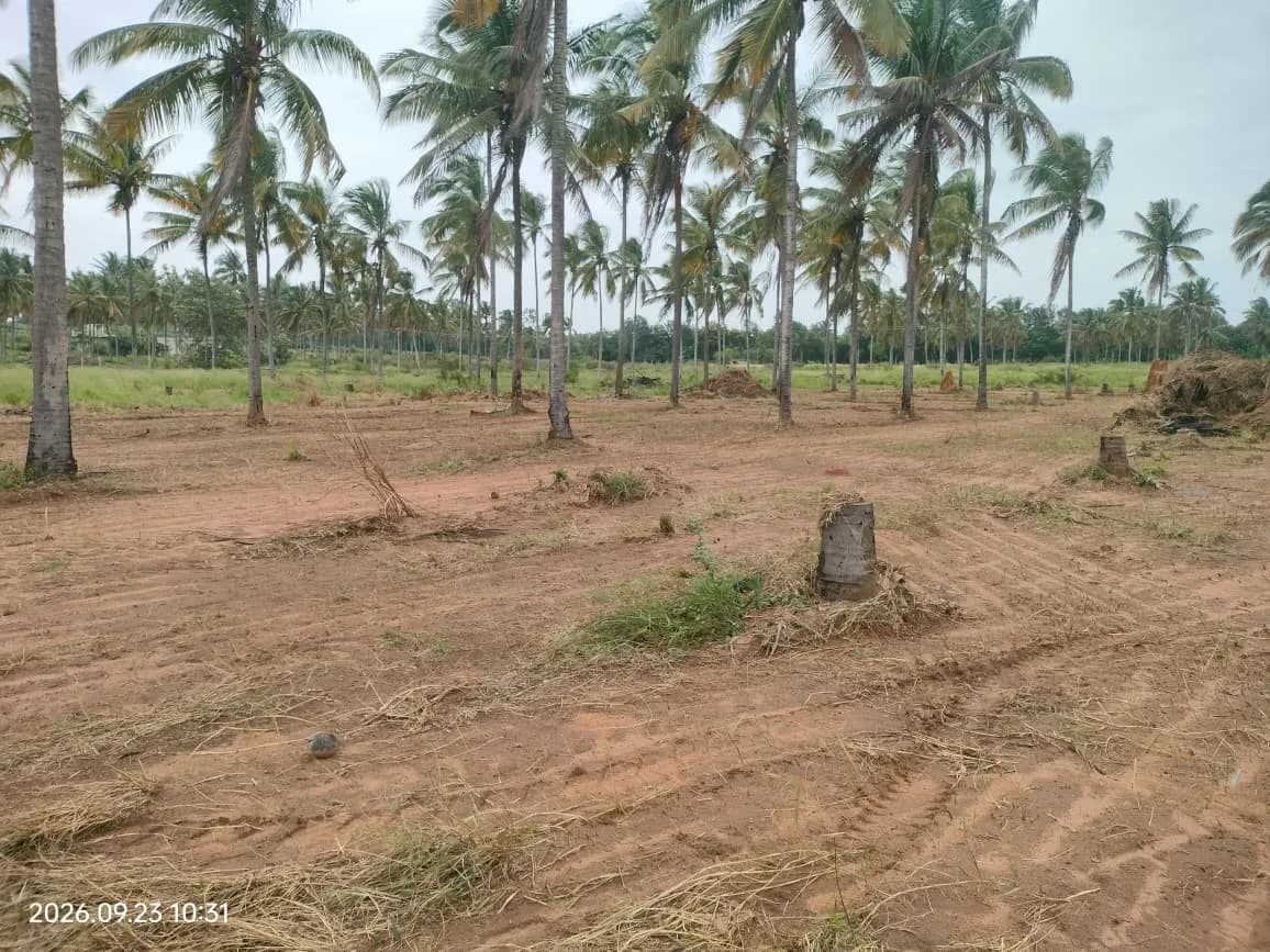 Assetz City of Palms: Site photo filed with Karnataka RERA