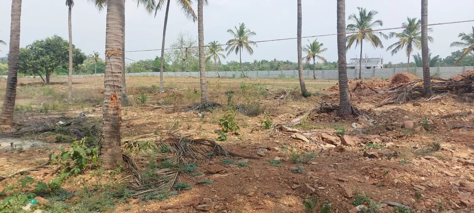 Vainavi Serenia: Site photo filed with Karnataka RERA