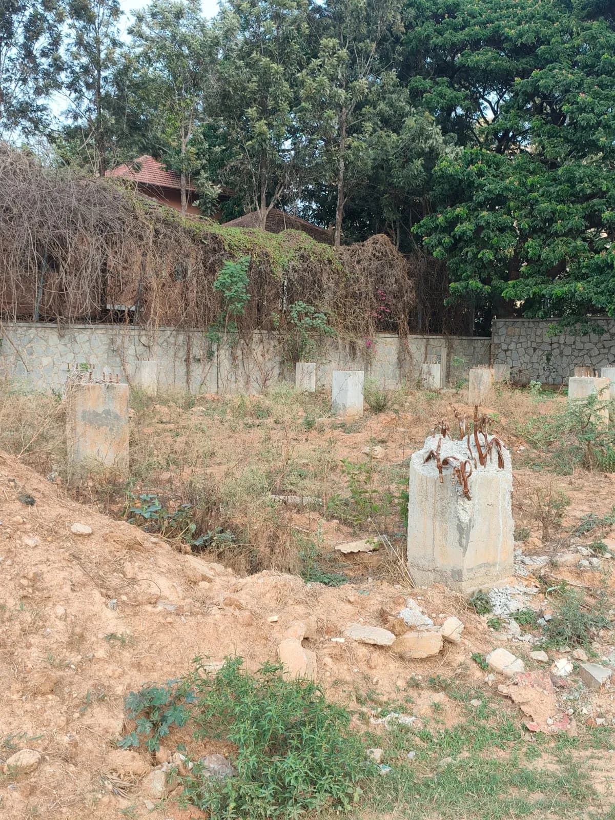 The Roots By Elegance Infra: Site photo filed with Karnataka RERA