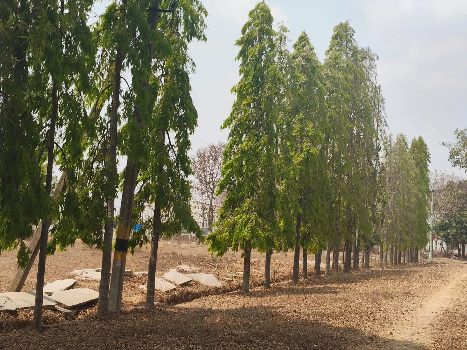 Vijayanagar Eco Village: Site photo filed with Karnataka RERA