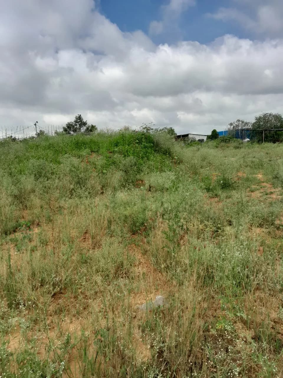 Brigade Horizon: Site photo filed with Karnataka RERA